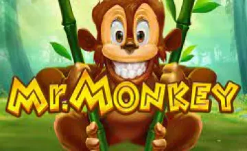 mr-monkey