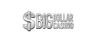 Big Dollar Casino