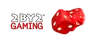 2 By 2 Gaming