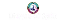 Magical Spin