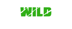 Wild Casino