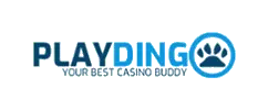 PlayDingo Casino