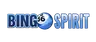 BingoSpirit