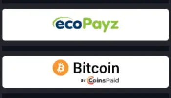 Luckyelf Casino Payment Methods