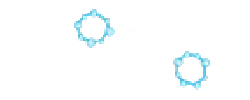 North Casino