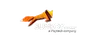 Sunfox Games