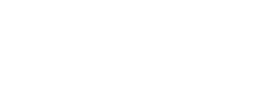 Dolfwin